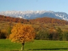 Muntii Piatra Craiului - Judetul Brasov.jpg